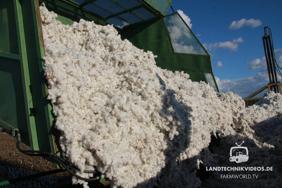Cotton Harvest_09.jpg